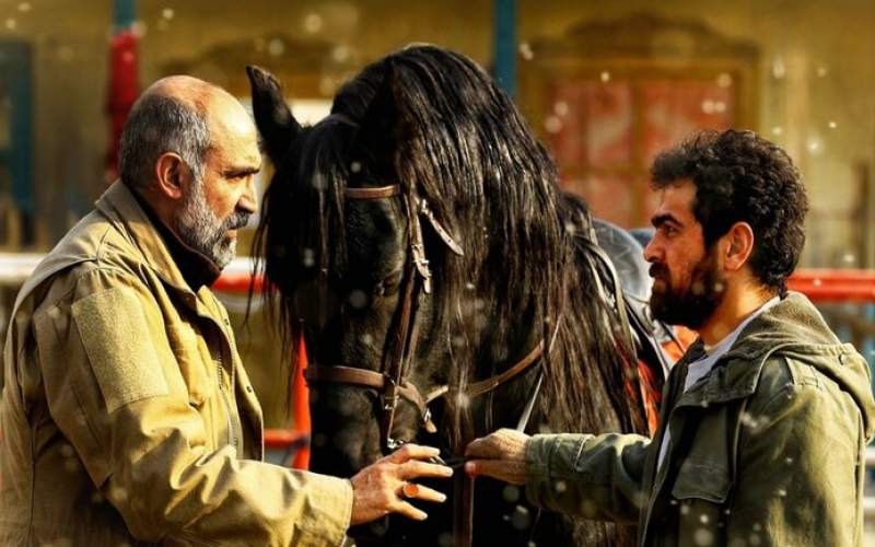 «ناتور دشت» با یک عقبه داستانی ساخته شد