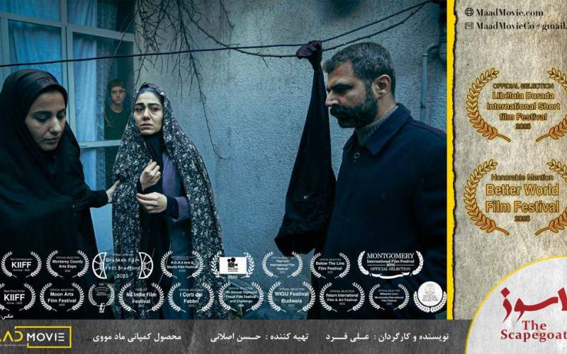 «پاسوز» دیپلم افتخار بهترین کارگردانی را از جشنواره ایتالیایی دریافت کرد